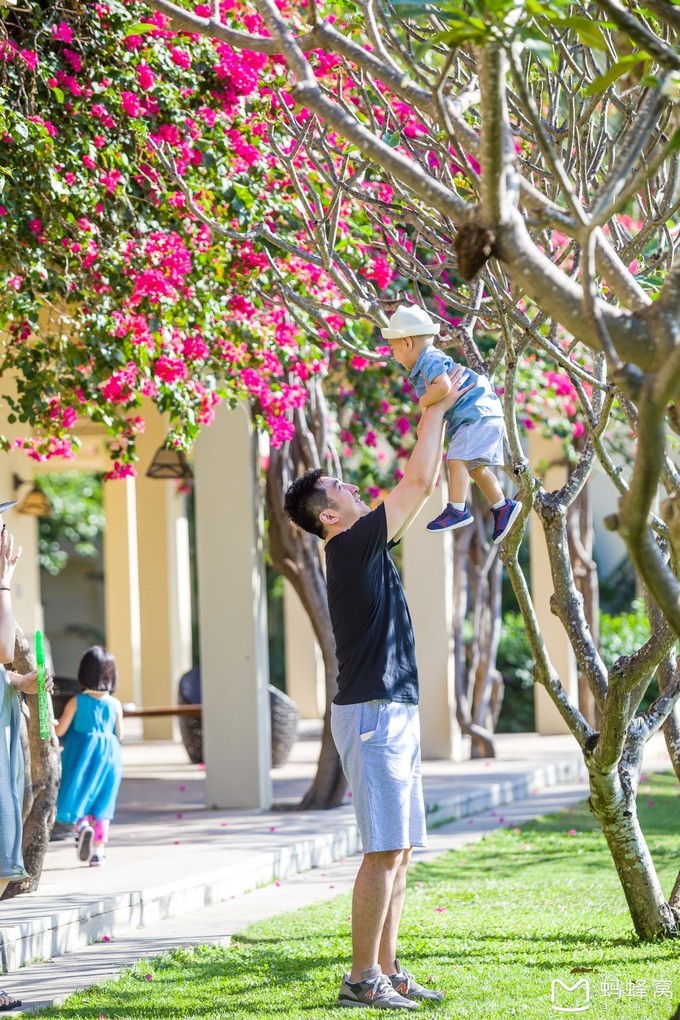 三亚旅游全攻略带孩子必玩,带小孩感受阳光与海滩