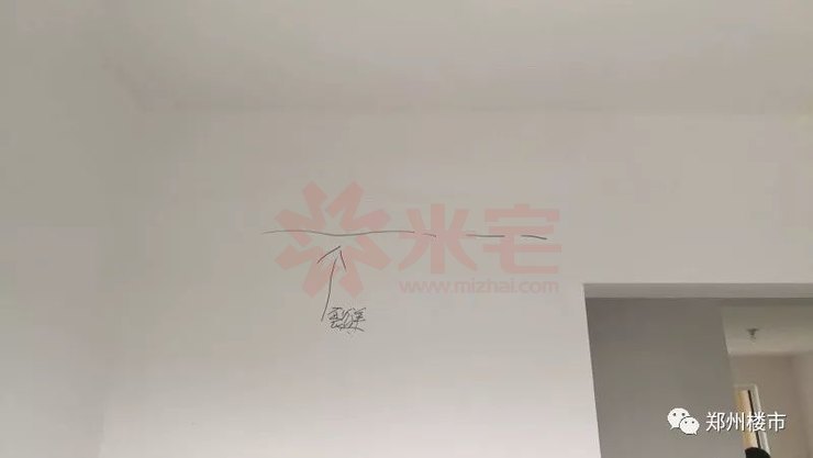 未来洋房和别墅哪个值得买,豪宅里的小户型值得买吗