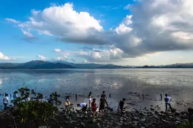 深圳5号线景点打卡地有哪些,来深圳必看的十大网红景点