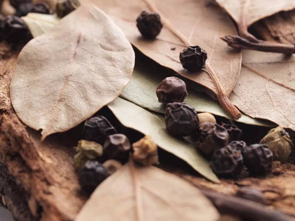 高大上的月桂,就在我们身边