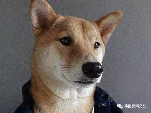 隆回汉子的人狗情缘,养的狗腿子“依依”