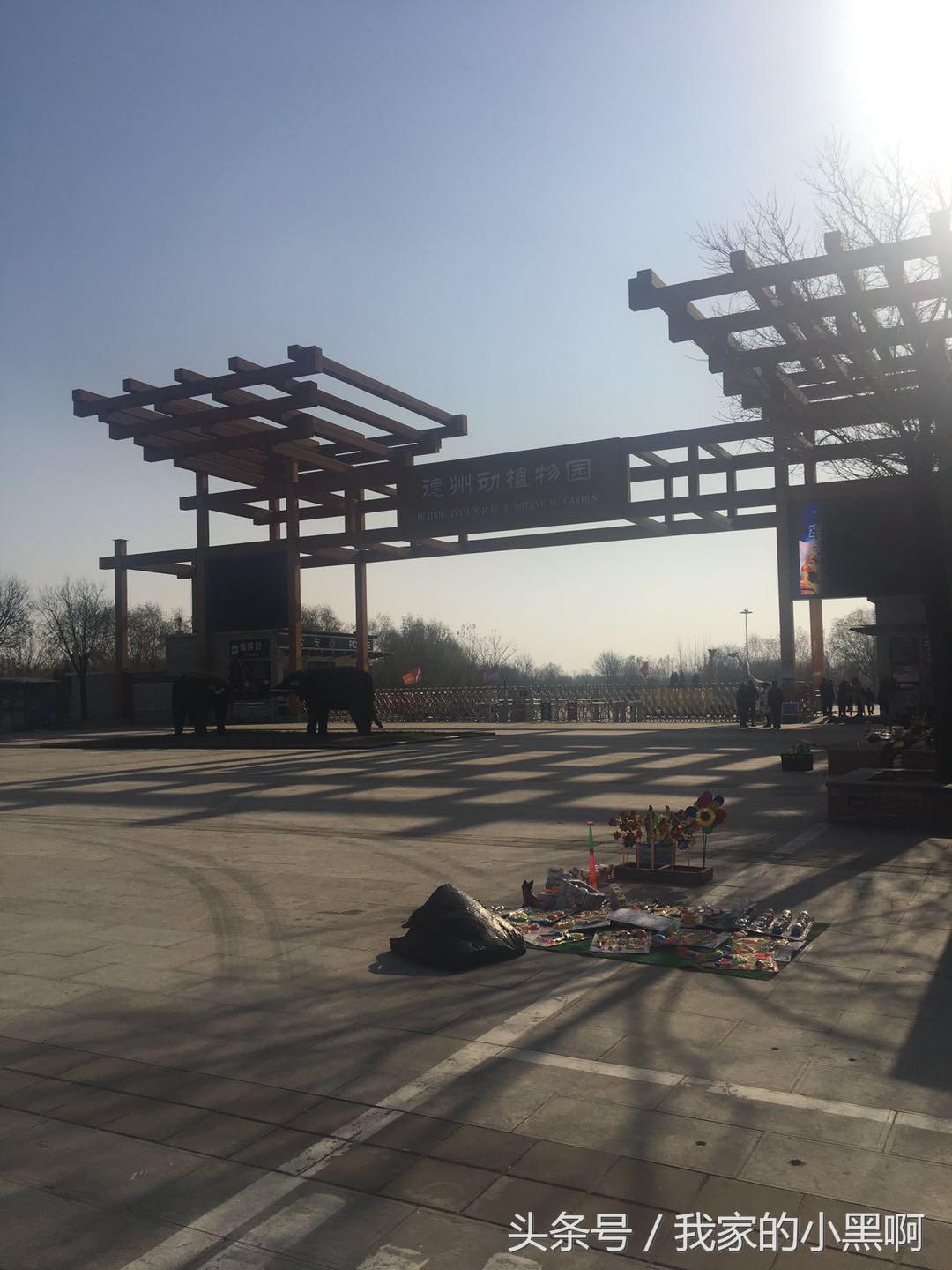 测评德州一日游,德州市动植物园一日游