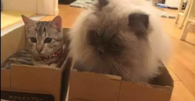 新婚手续办理流程,和日本人结婚怎么办理签证