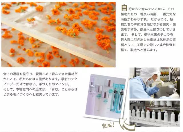 奥尔滨albion补水,澳尔滨健康水新款