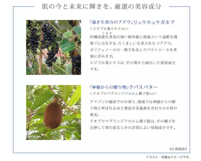 奥尔滨albion补水,澳尔滨健康水新款