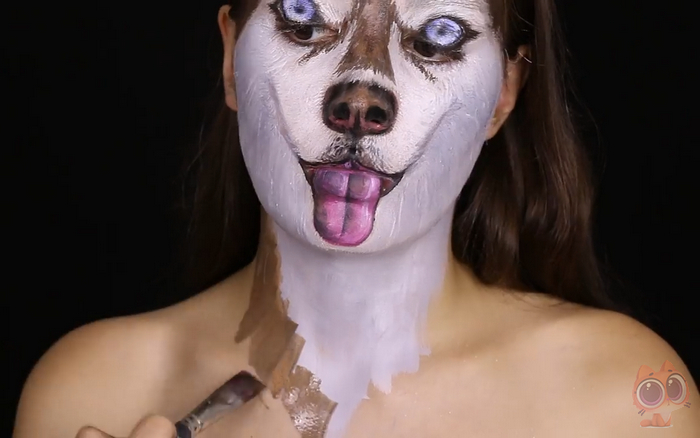 小狗狗头肿了,小狗狗脸肿了脑袋上面按着有水