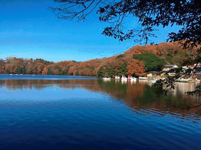 日本顶级温泉旅馆可以住多久,日本顶级温泉旅馆的服务