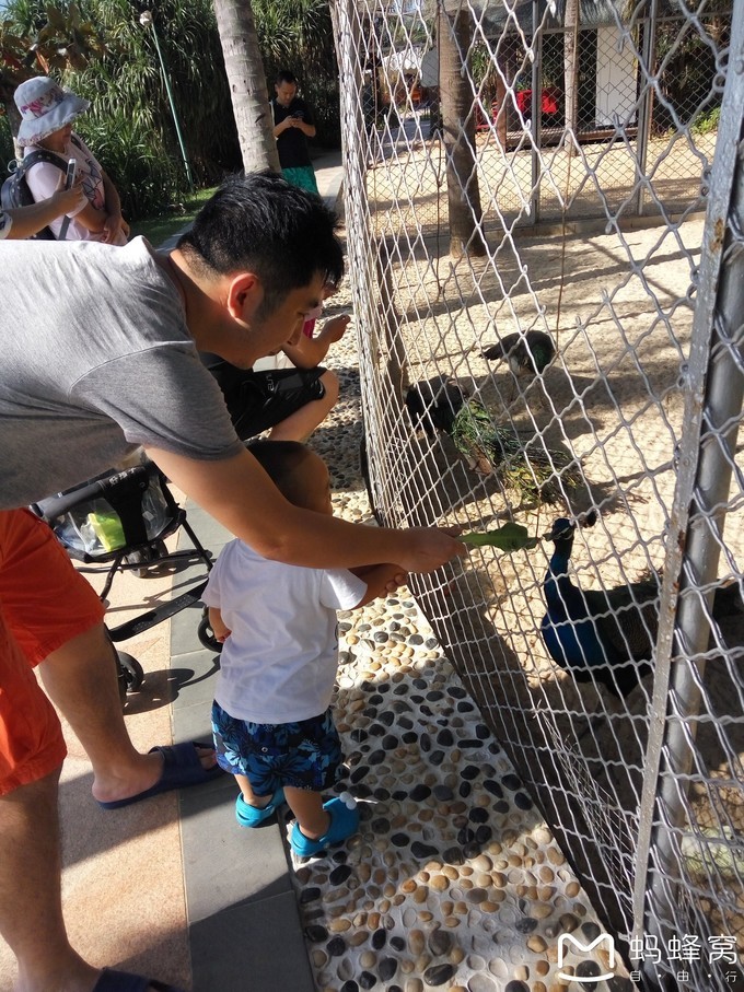 三亚旅游全攻略带孩子必玩,带小孩感受阳光与海滩