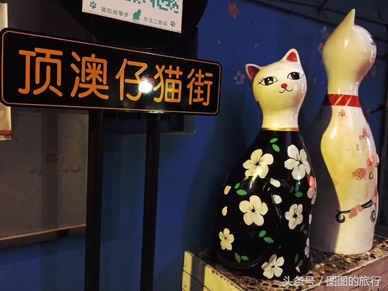 厦门适合10个人吃喝玩乐的地方,11月份厦门旅行攻略