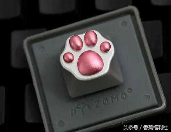 猫咪就是最好的时尚单品,猫咪就是这个世界上最可爱的动物