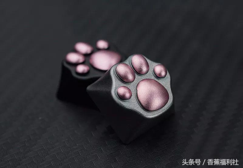 猫咪就是最好的时尚单品,猫咪就是这个世界上最可爱的动物