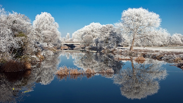 四明山区森林公园,四明山森林公园夏天