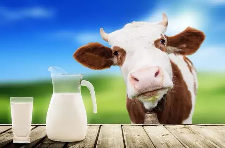 乳业分析师宋亮是什么人,乳业专家宋亮是干什么的