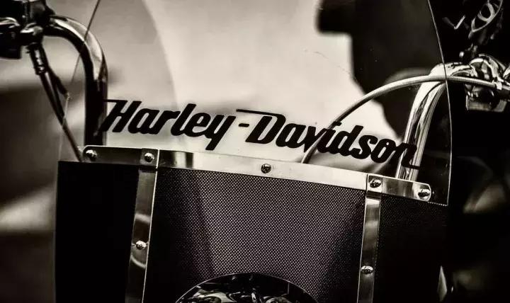 一切从你叫什么名字重新开始,如何起一个好的品牌名