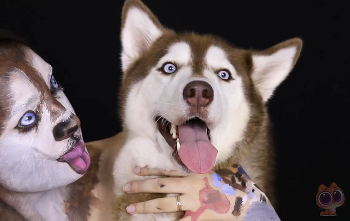 小狗狗头肿了,小狗狗脸肿了脑袋上面按着有水