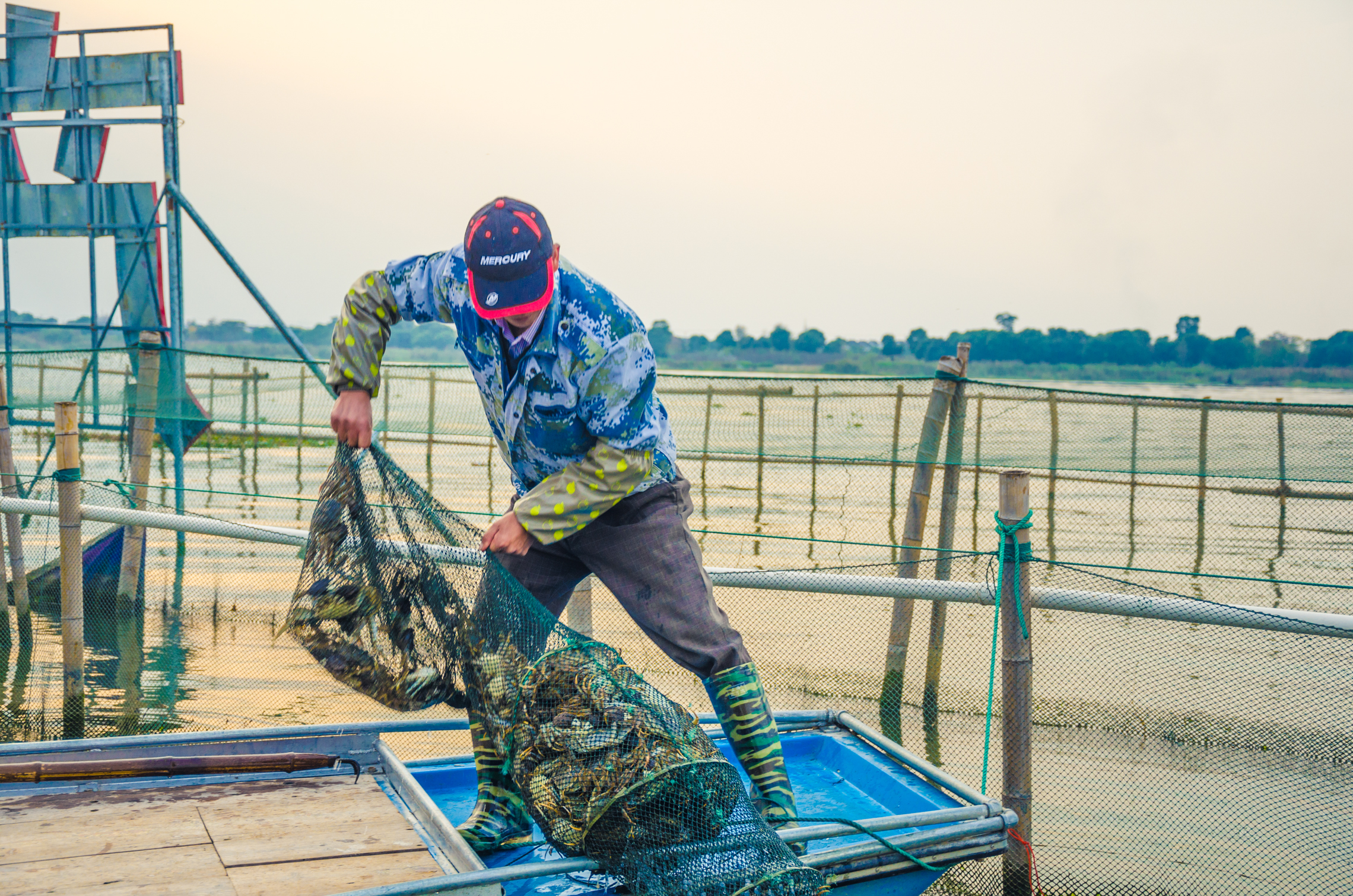 为何上海人都喜欢驱车到这吃大闸蟹，晚上还愿住在这里