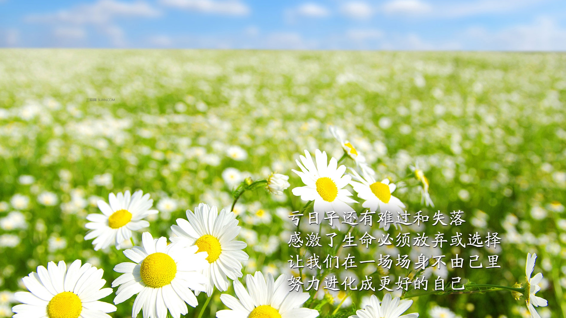 盐遇见了伤口怎么办,用盐消毒伤口