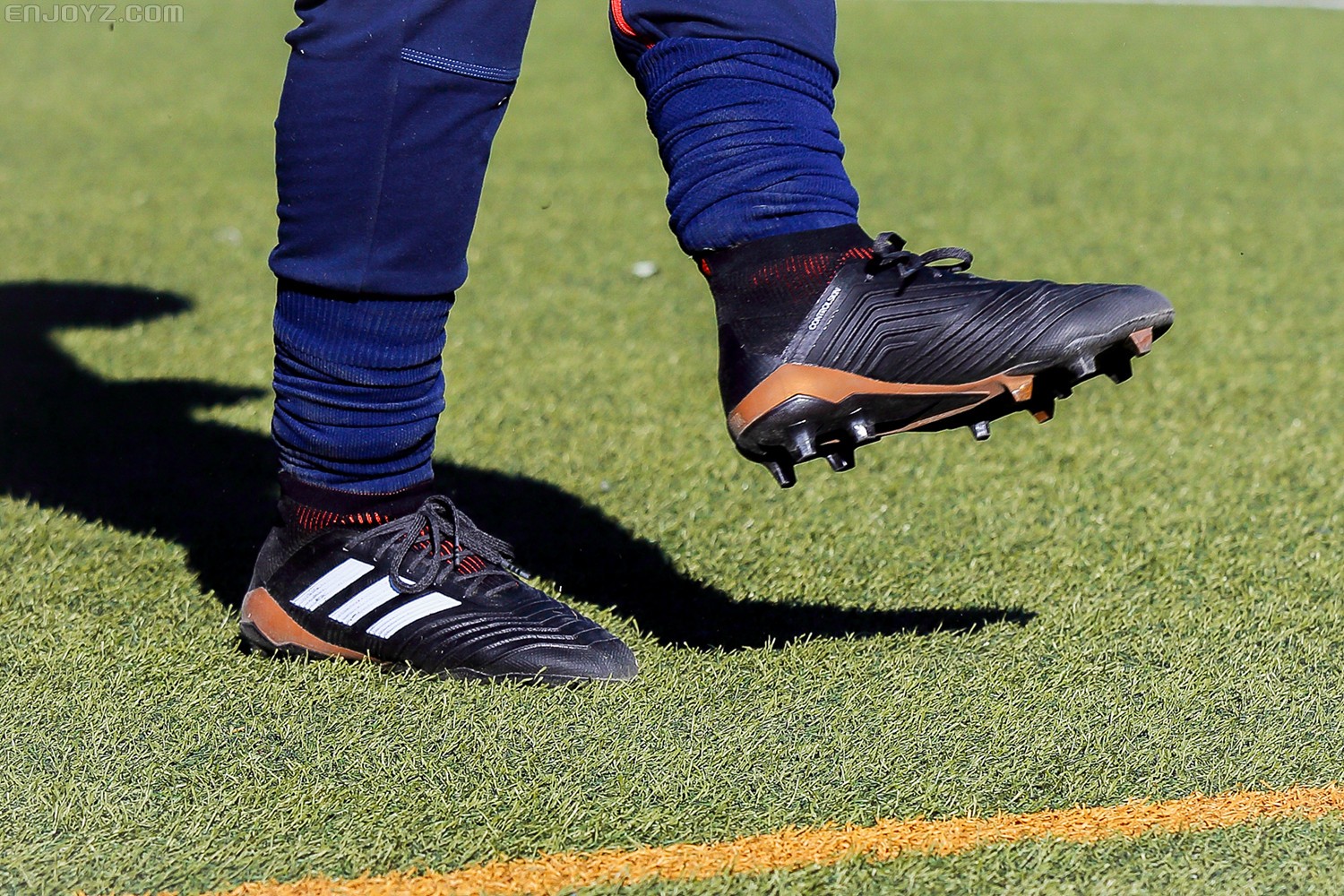 归来不凡,新猎鹰中端