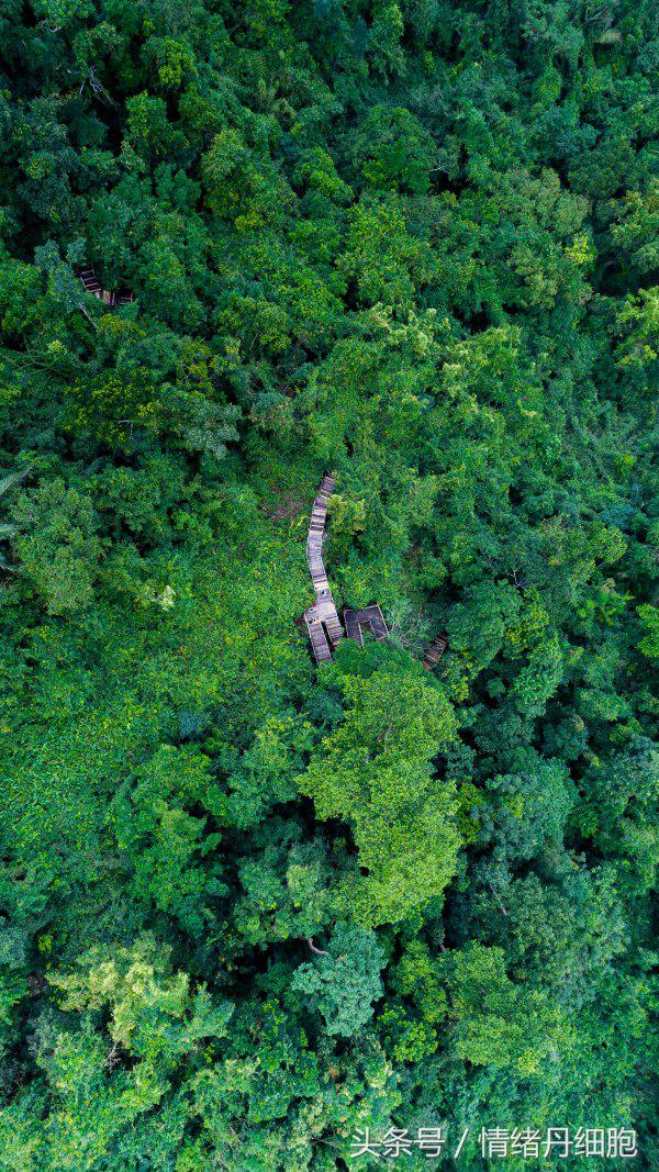 地图采集员一般月收入多少万正常,地图信息采集员工作靠谱吗