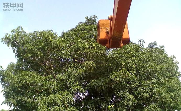 我在非洲开挖机：车坏了没法修，时刻提防打劫盗窃