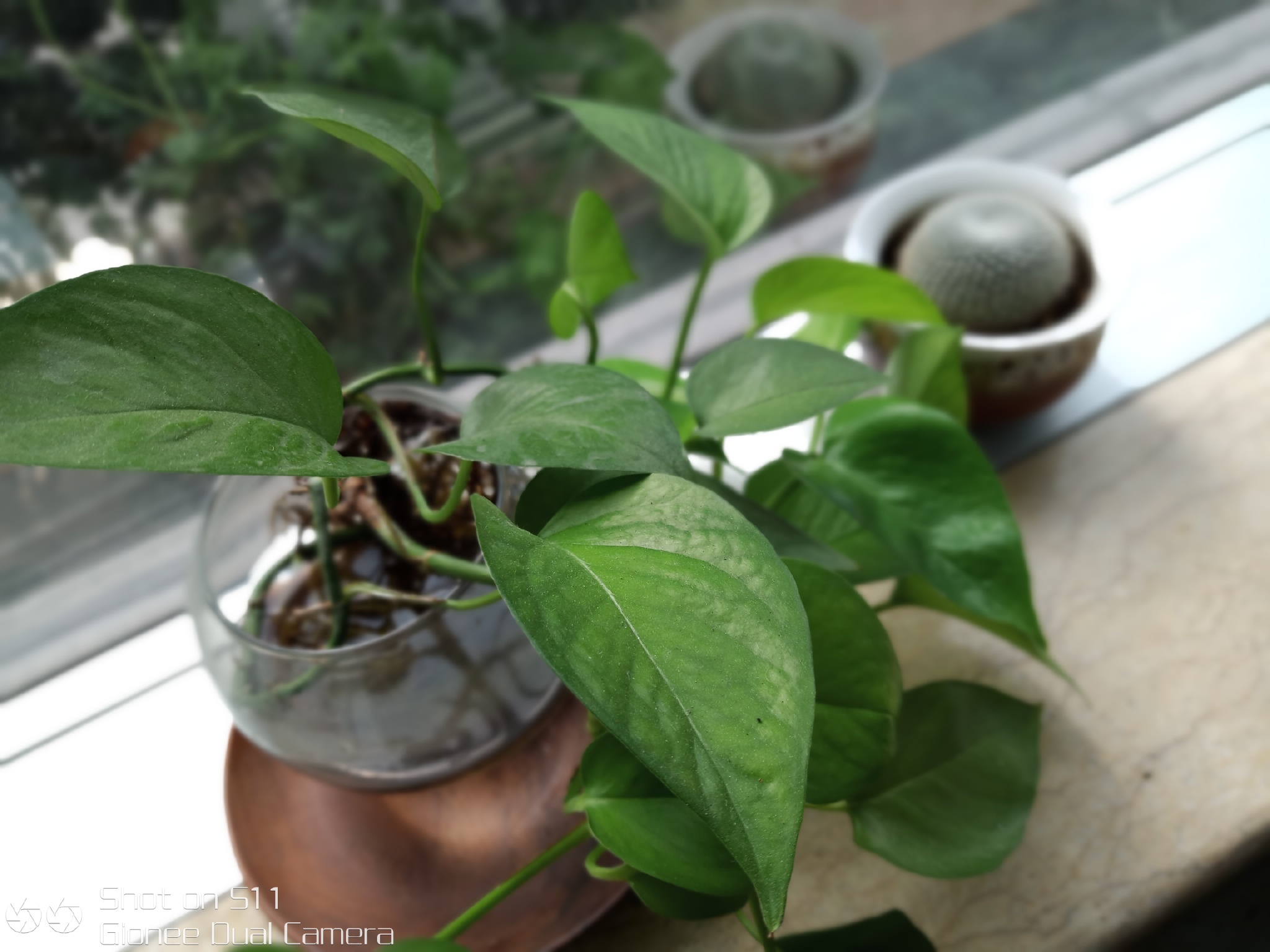 金立s11最新评测,金立s11的价格和配置