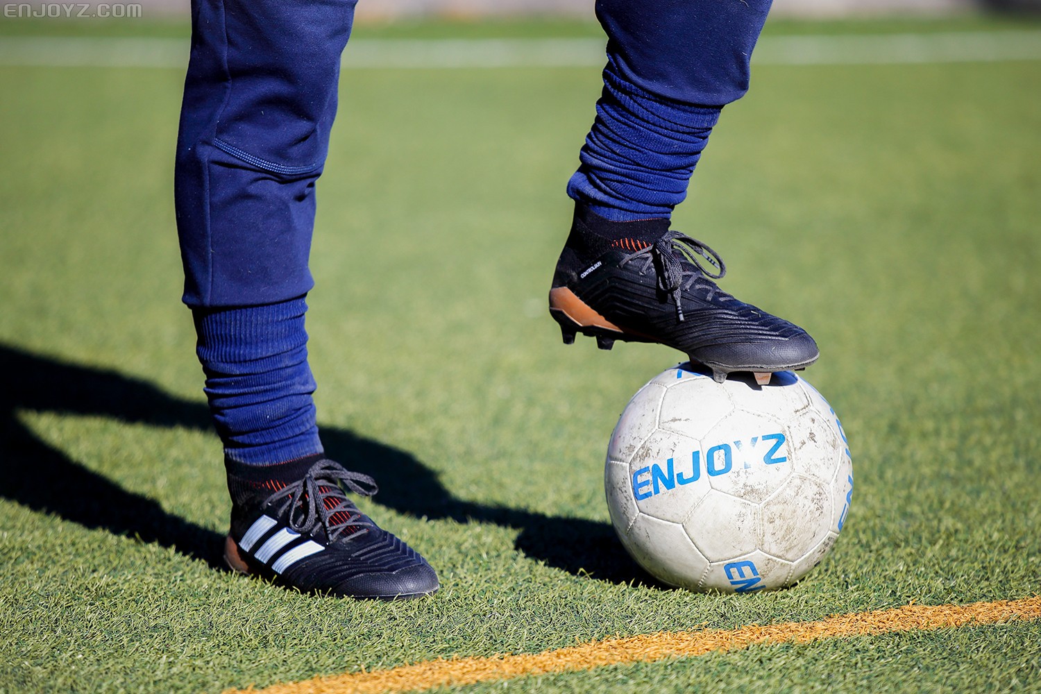 归来不凡,新猎鹰中端