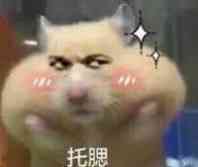 兼职赚钱的100个方法,大学期间兼职赚钱的方式