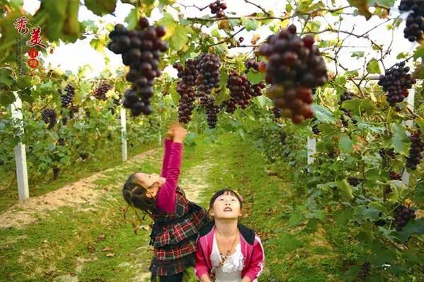 威海临港区有发展空间吗,威海临港区发展得怎么样