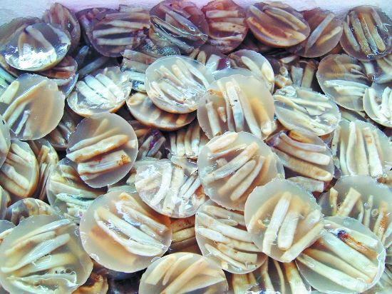 厦门除了鼓浪屿,你绝不能错过地道的厦门美食,超详细美食攻略