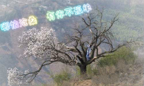 时光如梭岁月如流且行且珍惜自己,流年似水岁月如梭珍惜当下