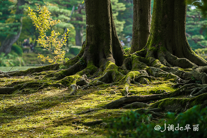 日本金泽看海,日本金泽旅游视频