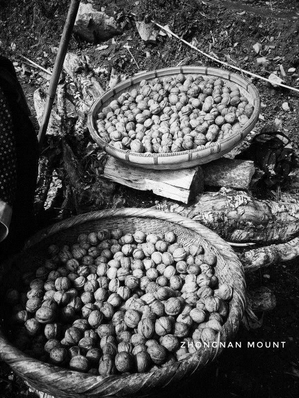 失联七天七夜,失联七天还有希望吗