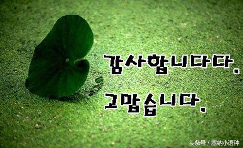 韩语和日语哪个学起来更简单,韩语和日语哪个更简单点