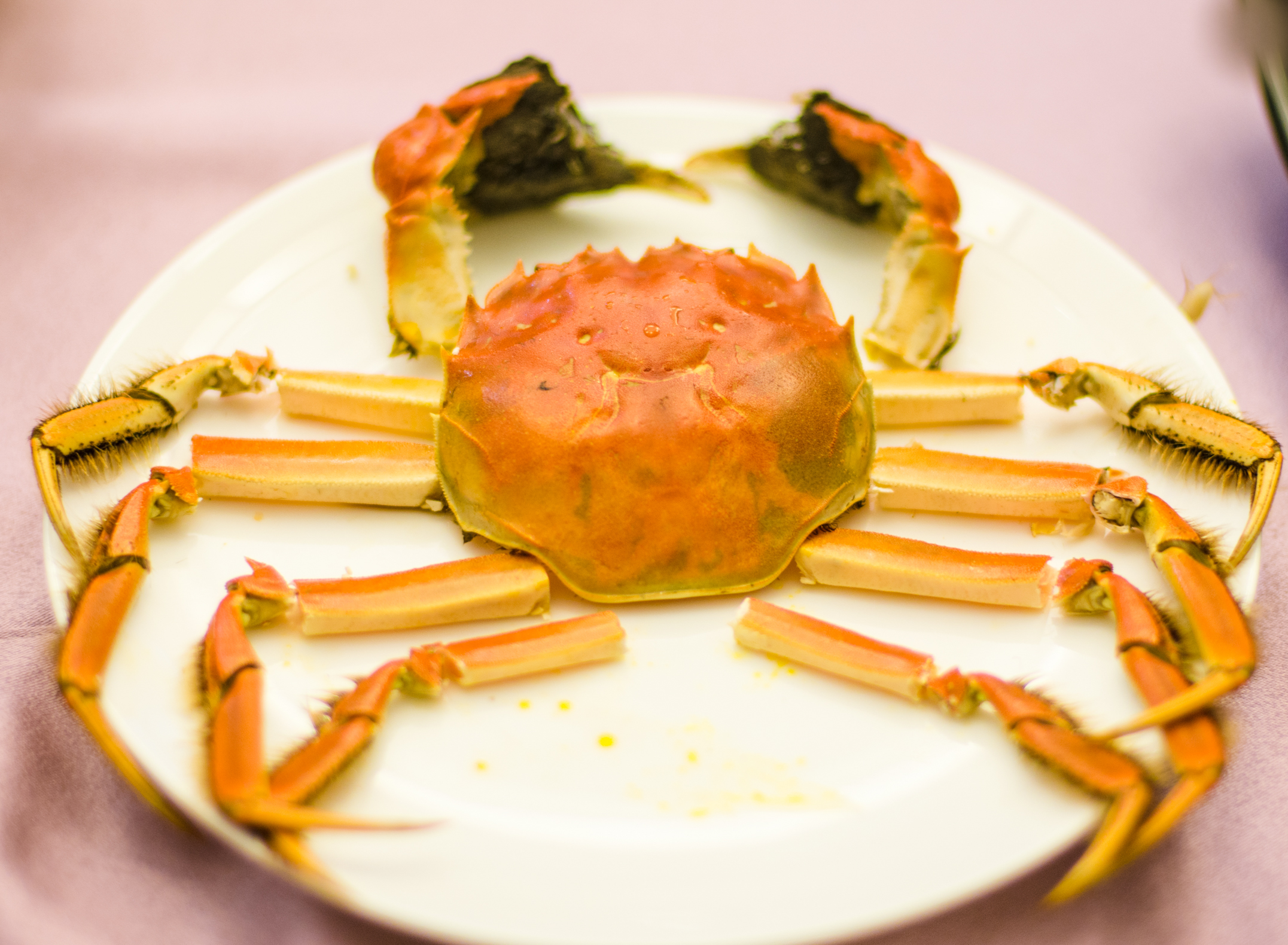 为何上海人都喜欢驱车到这吃大闸蟹，晚上还愿住在这里