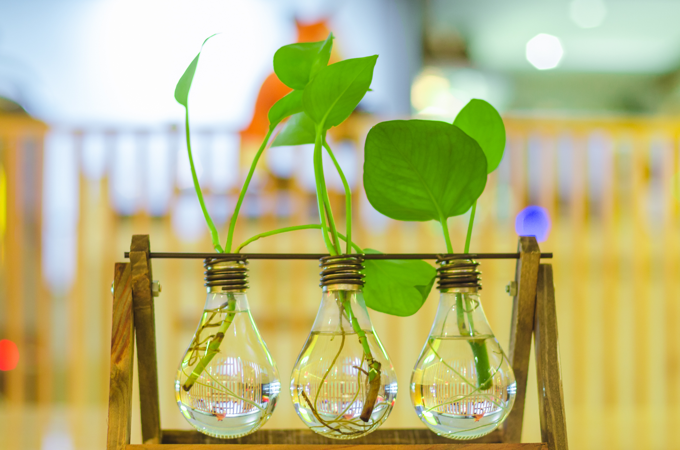 为何上海人都喜欢驱车到这吃大闸蟹，晚上还愿住在这里