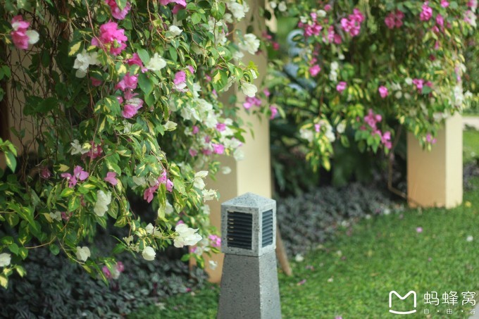 三亚旅游全攻略带孩子必玩,带小孩感受阳光与海滩