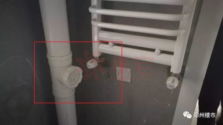 未来洋房和别墅哪个值得买,豪宅里的小户型值得买吗