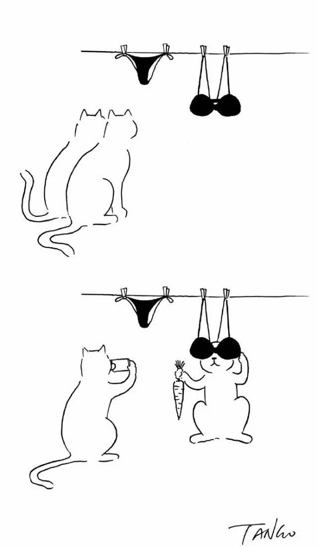 上交大数学系学生火了！他的“无聊”漫画为啥这么有魔力？