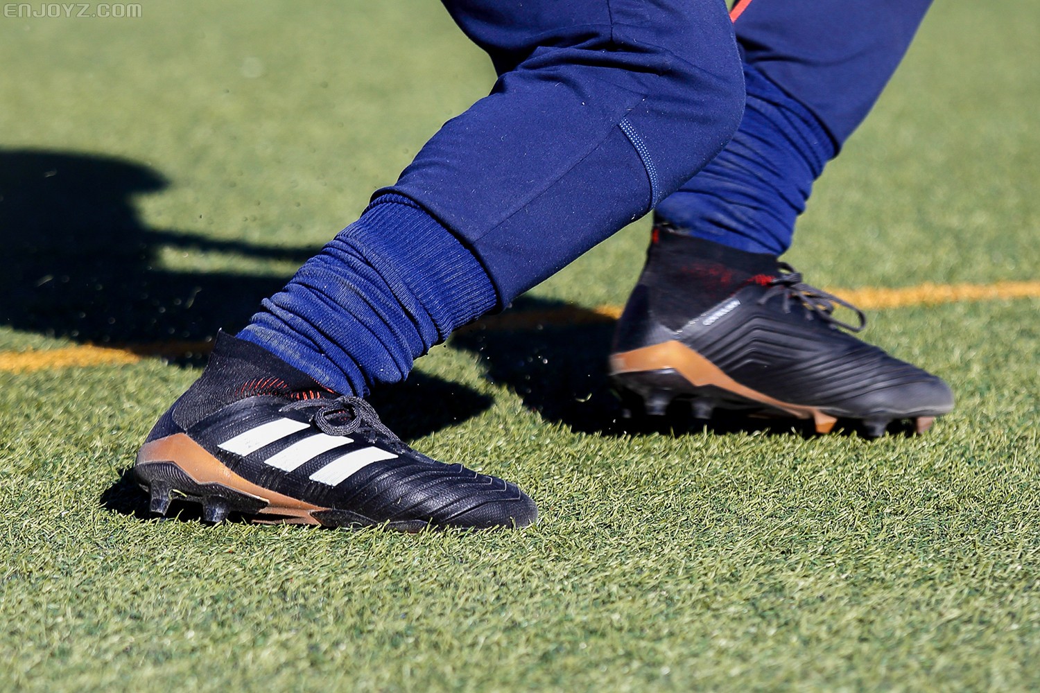 归来不凡,新猎鹰中端