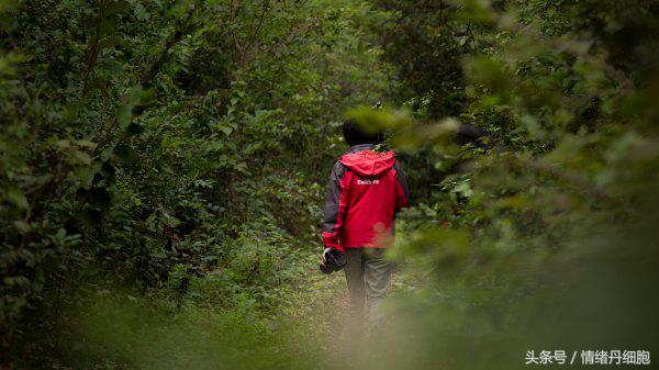 地图采集员一般月收入多少万正常,地图信息采集员工作靠谱吗