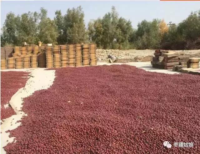 红枣期货最新价格走势,影响苹果价格的因素