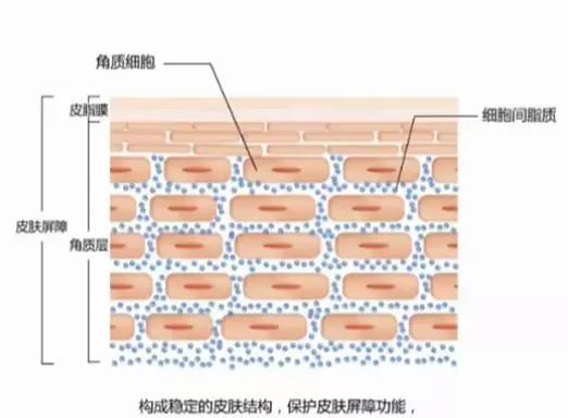 杨幂同款热喷蒸脸器,杨幂护肤面膜