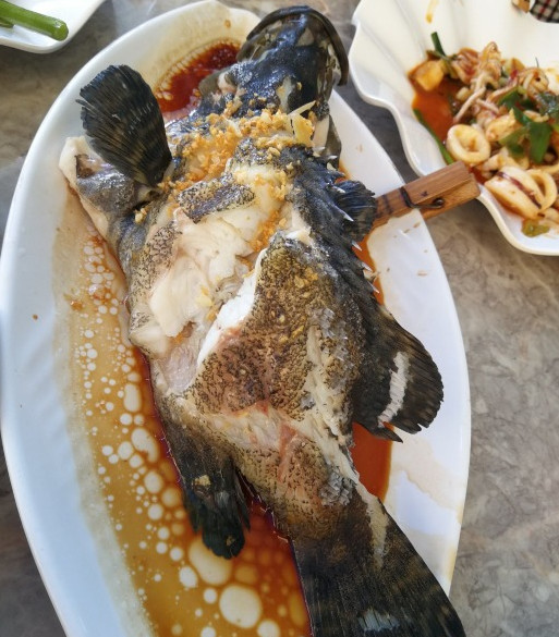 邂逅美丽椰城海口自由行攻略,海南岛自驾游摘椰子