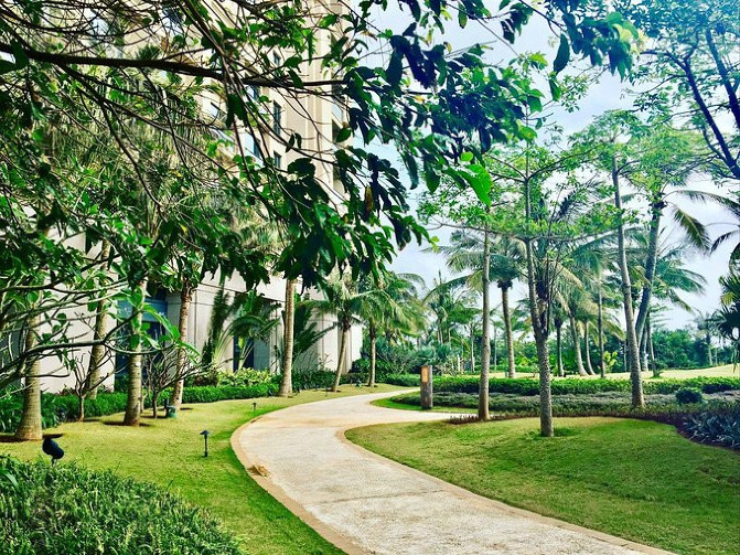 邂逅美丽椰城海口自由行攻略,海南岛自驾游摘椰子