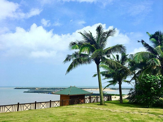 邂逅美丽椰城海口自由行攻略,海南岛自驾游摘椰子