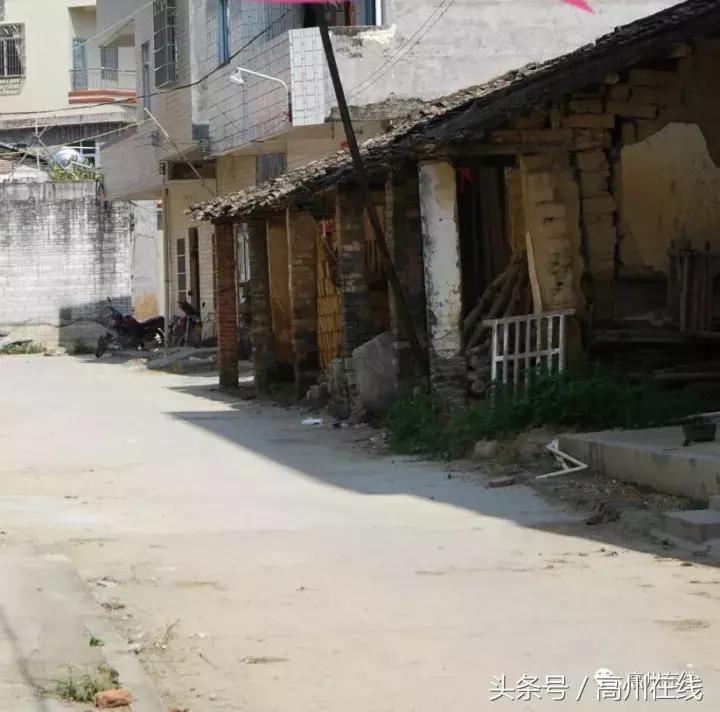 高州南塘镇风景,茂名高州农村田野风景