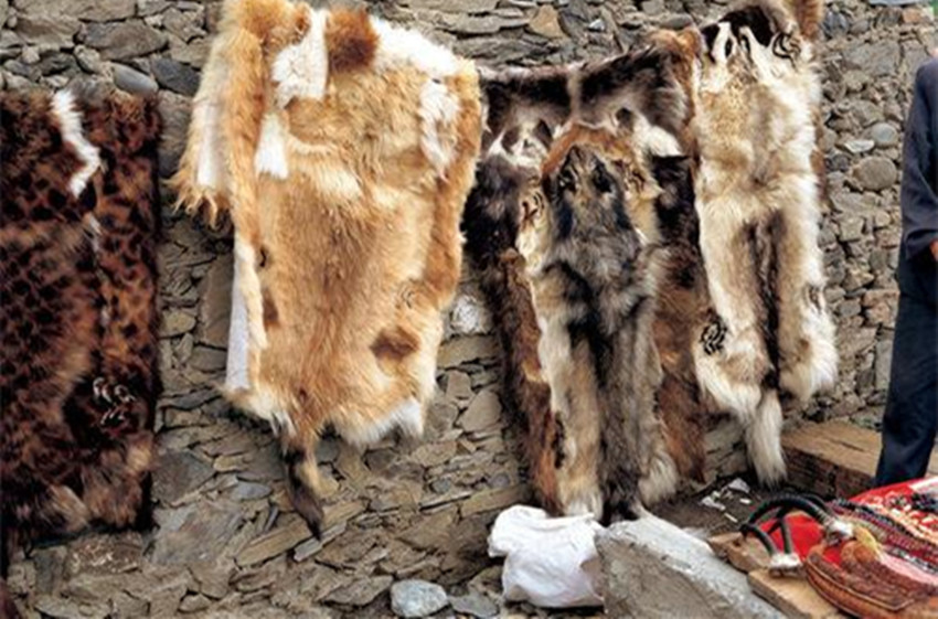 尼布楚条约，中国看似赢了，其实吃了大亏，很多人都没想到