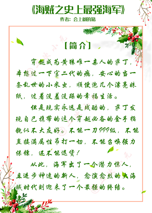 主角穿越未来玩海贼王的网游小说,以海贼王为题材的网游小说