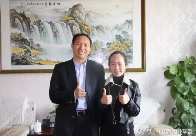 猪料900万吨！狼一样的双胞胎亮剑2017！