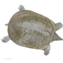 食疗养生磨坊加盟,食疗养生一人一方